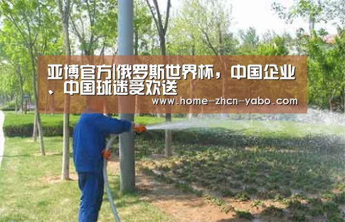亚博官方|俄罗斯世界杯,中国企业、中国球迷受欢送(图3) 亚博官方